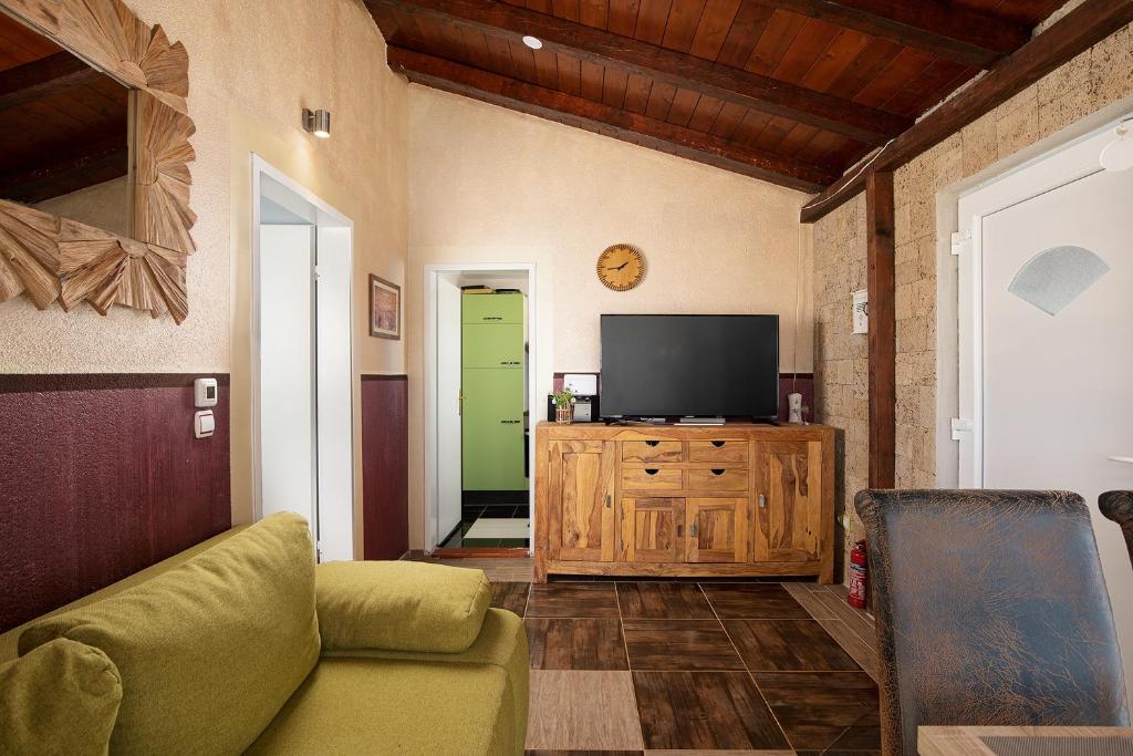 TV a/nebo společenská místnost v ubytování Holiday House Biloš
