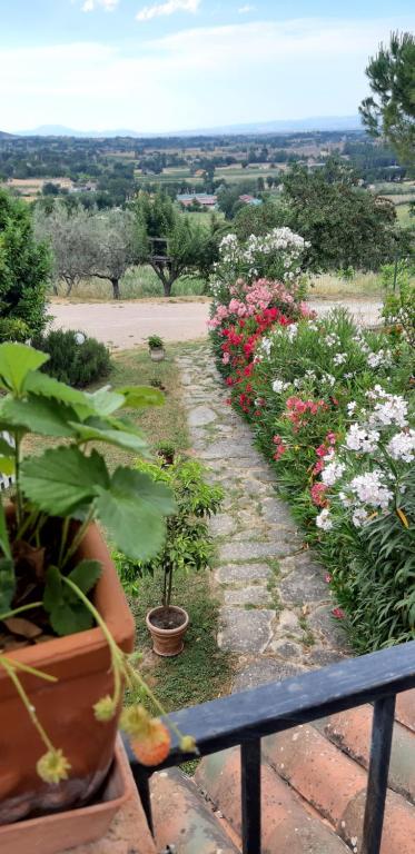 um jardim com flores rosas e brancas e um banco em APPARTAMENTI DOLCETURISMO FONTECAIME...RELAX... em Bevagna