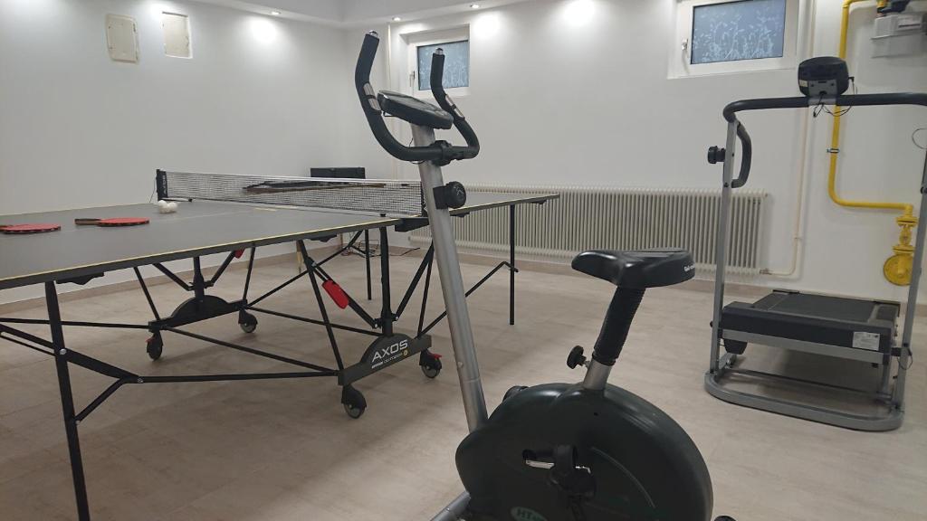 Fitness centrum a/nebo fitness zařízení v ubytování Am Kaltenbach - Spital am Semmering, Stuhleck