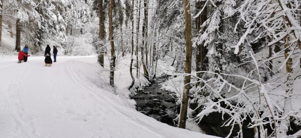 Am Kaltenbach - Spital am Semmering, Stuhleck v zimě