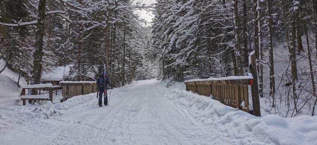 Am Kaltenbach - Spital am Semmering, Stuhleck v zimě