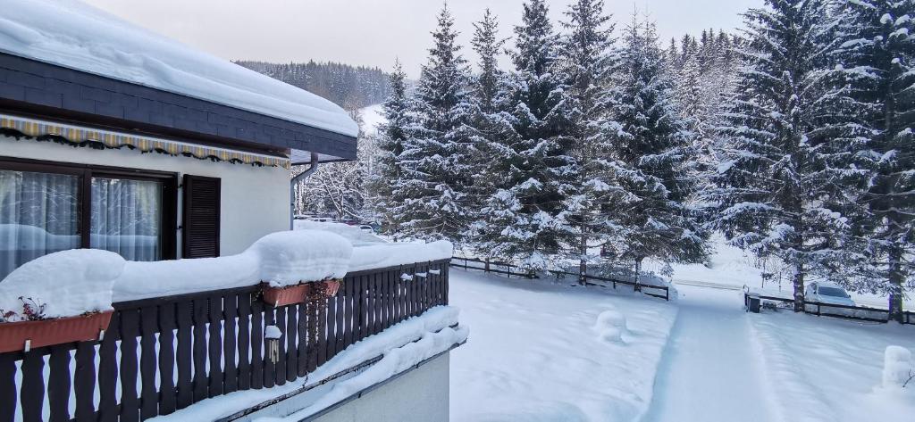 塞默靈附近施皮塔爾的住宿－Am Kaltenbach - Spital am Semmering, Stuhleck，树前的雪覆盖的房子