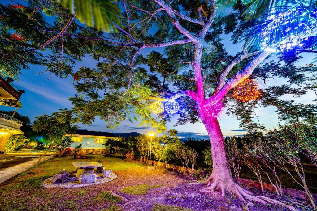 樂晴花園親子民宿評價、特色體驗、房價資訊、訂房連結 – 親子友善小木屋與SUP體驗 - 照片 11