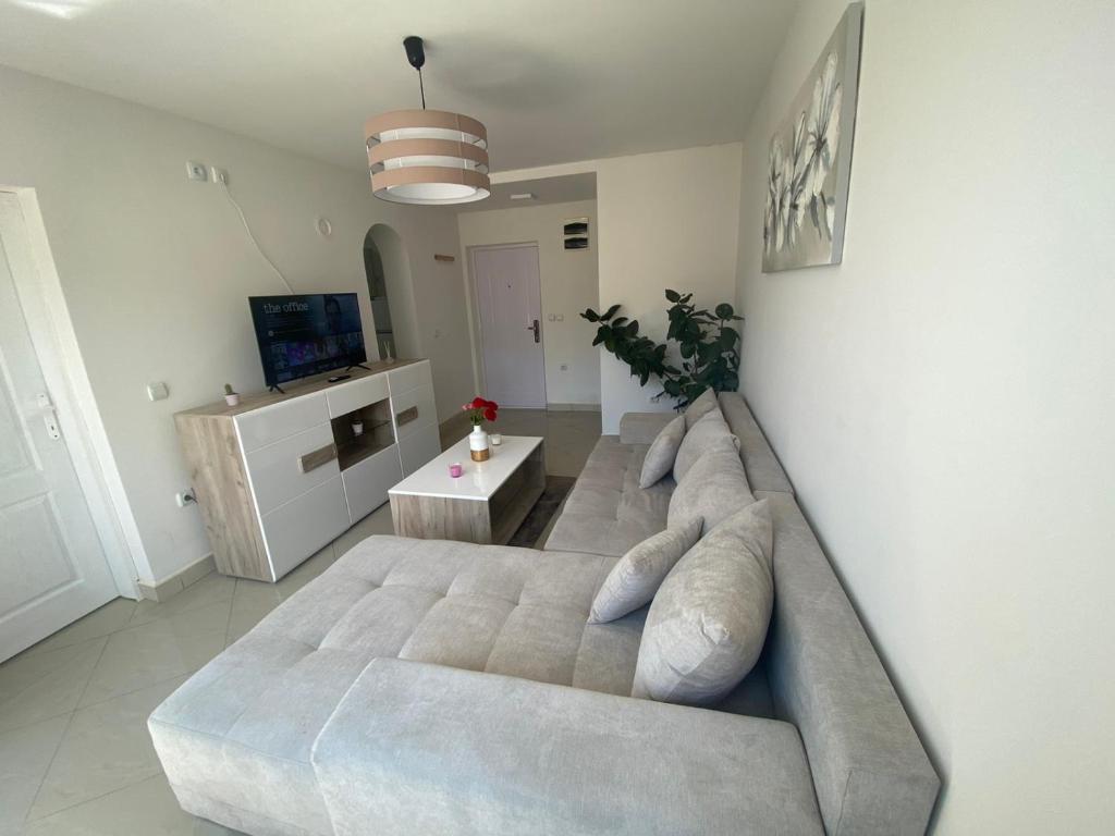 TV a/nebo společenská místnost v ubytování Apartmani Bambi Sokobanja