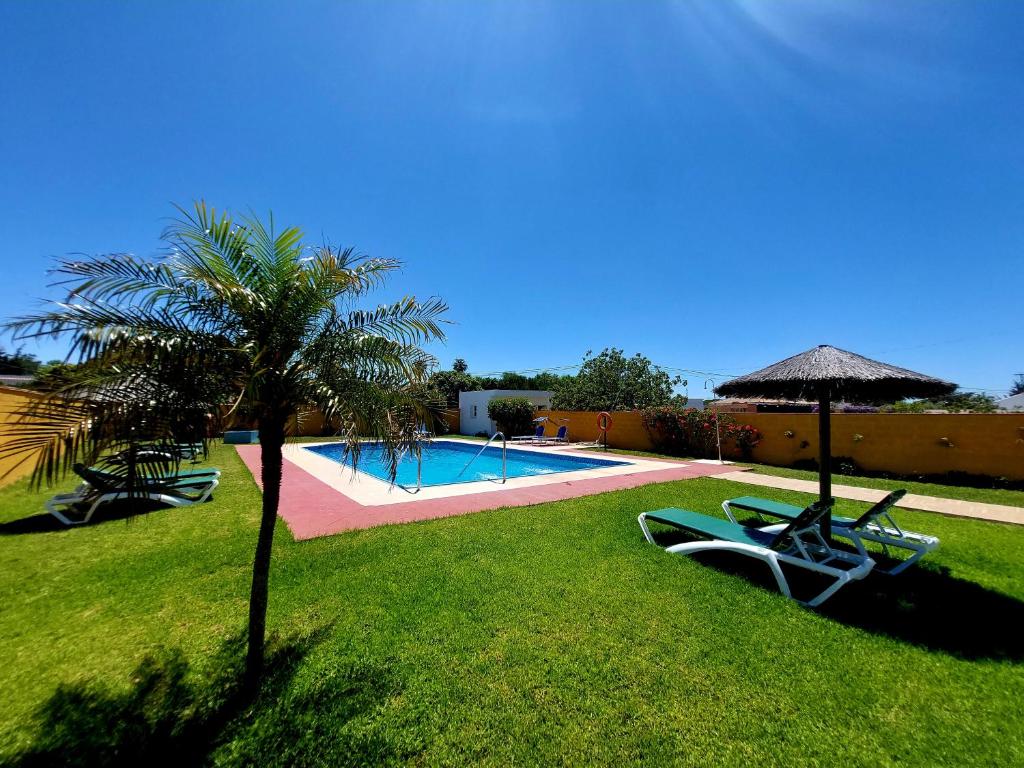 a resort with a swimming pool and a palm tree at Hostal Los Rosales in Conil de la Frontera