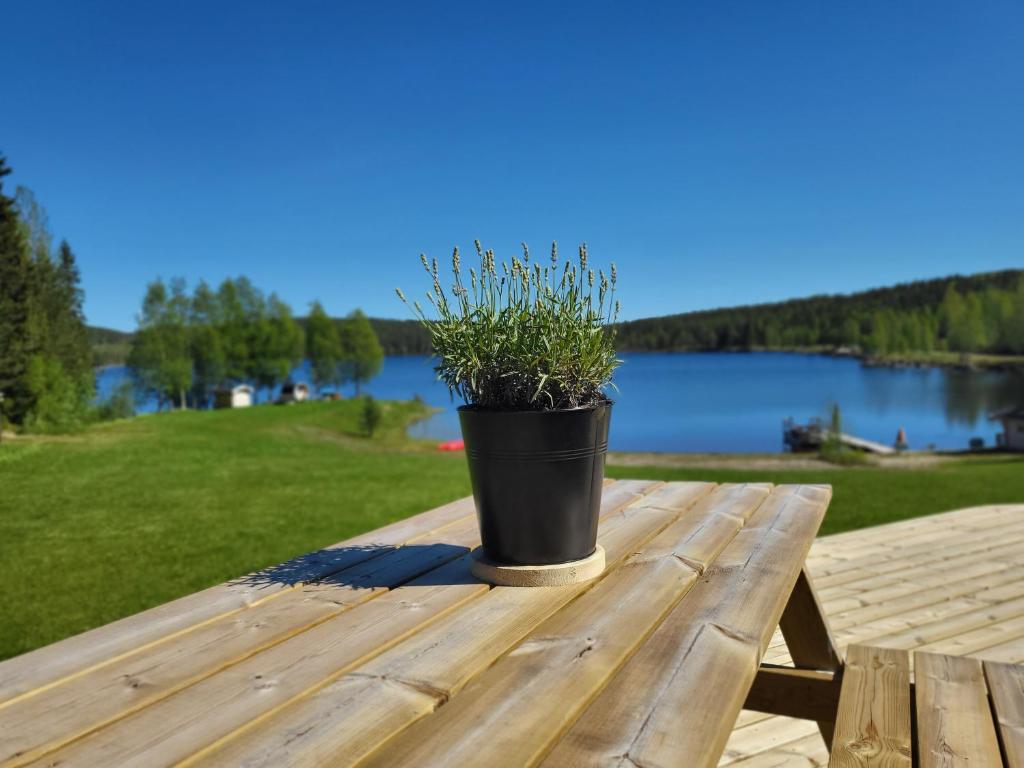 a potted plant sitting on top of a wooden table at Holiday Home Rödvattnet in Rödvattnet