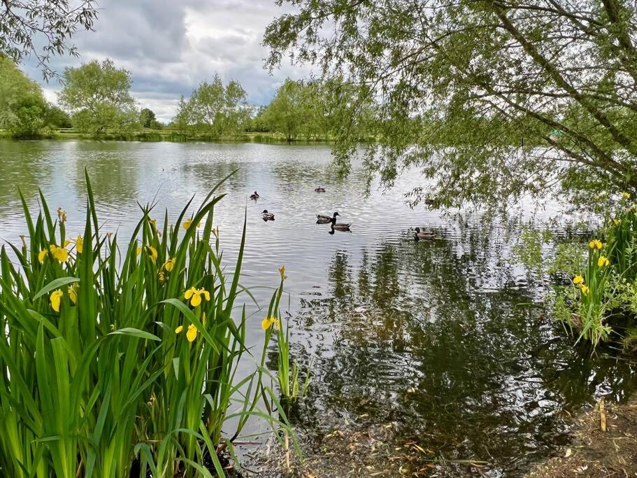 a group of ducks swimming in a lake at Bumble Bee Cabin in South Cerney