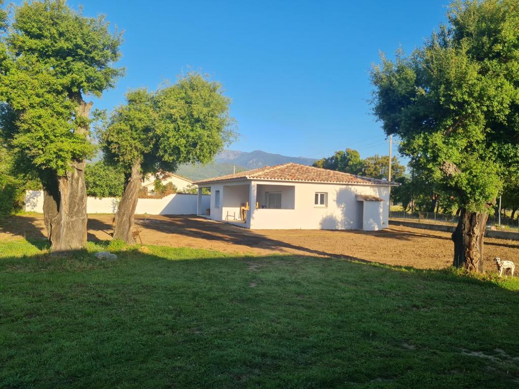 une maison blanche avec des arbres devant elle dans l'établissement Location "Casa Monna", à Prunelli-di-Fiumorbo