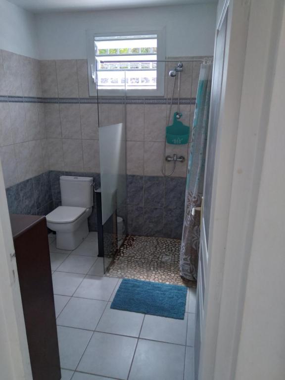 Vonios kambarys apgyvendinimo &#x12F;staigoje Villa Marthe