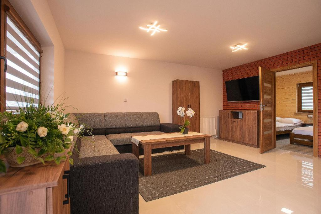 Televízia a/alebo spoločenská miestnosť v ubytovaní Apartamenty u Bartka i Magdy