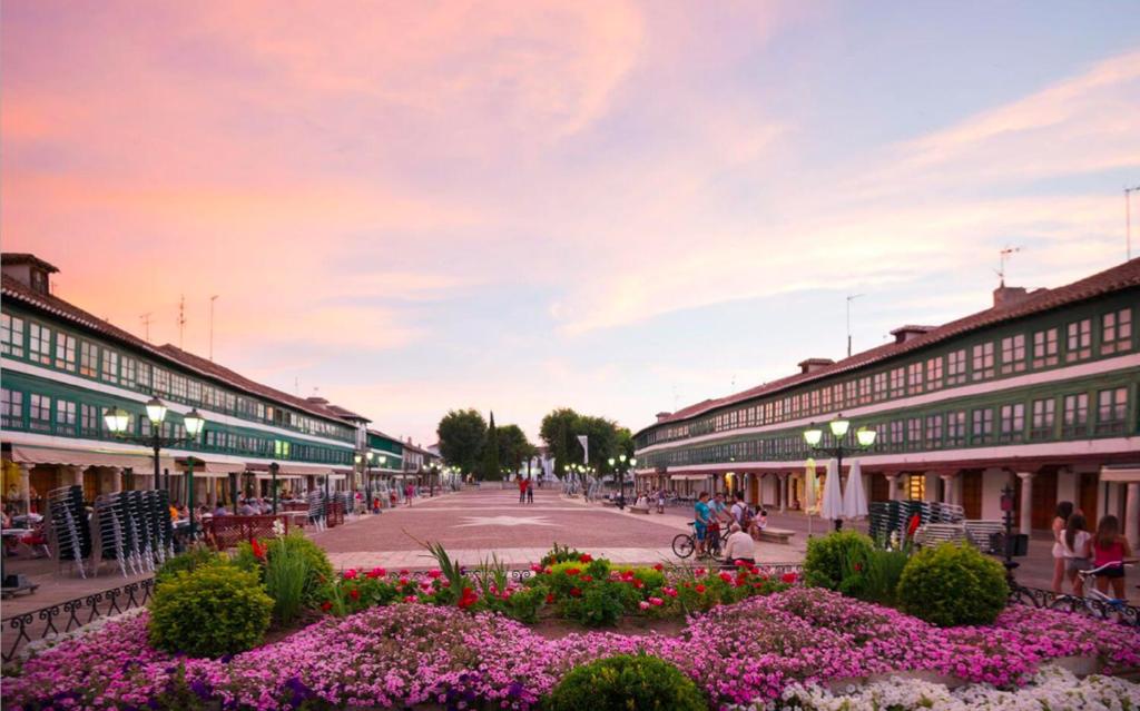 een straat in een stad met gebouwen en bloemen bij RETIRO DEL TEATRO Hotel Boutique y Apartamentos en Almagro in Almagro