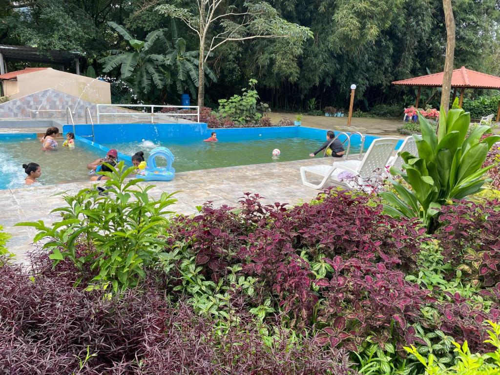Bazén v ubytování El Valle Resort & Spa - Aguas Termales nebo v jeho okolí