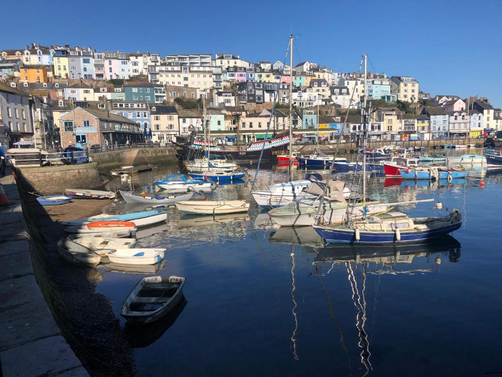 Un gruppo di barche sono ormeggiate in un porto. di Harbour View Ground Floor Flat with Private Parking, only 5 Mins walk to harbour a Brixham