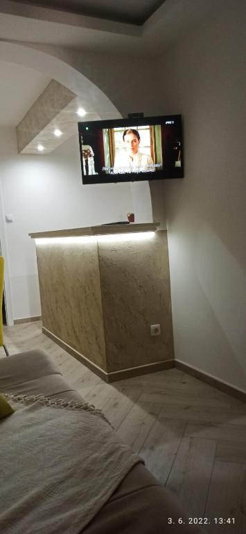 TV a/nebo společenská místnost v ubytování Apartmani Glorija