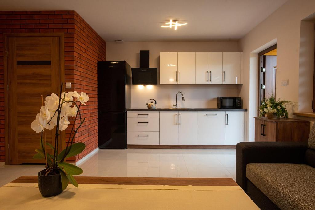 Kuchyňa alebo kuchynka v ubytovaní Apartamenty u Bartka i Magdy
