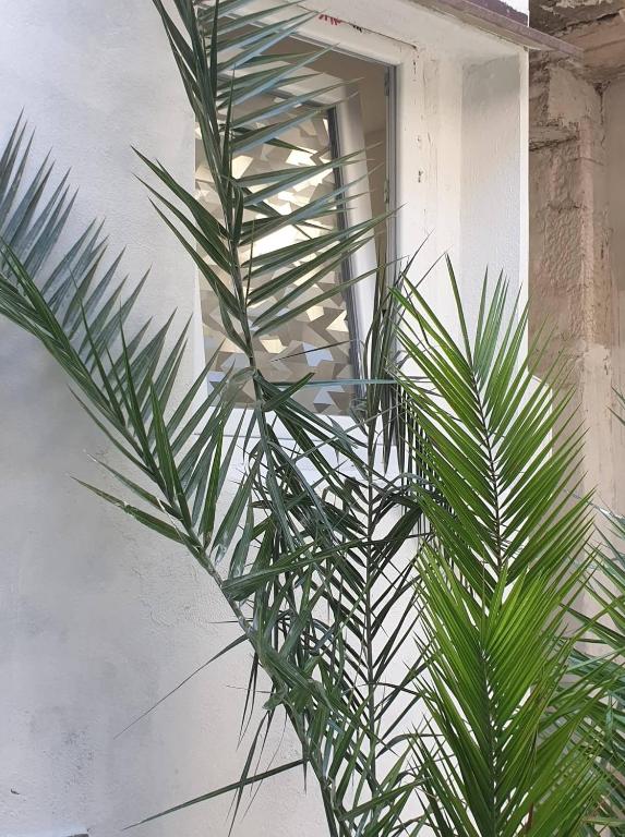 Fotografia z galérie ubytovania apartmani NEDO v Splite