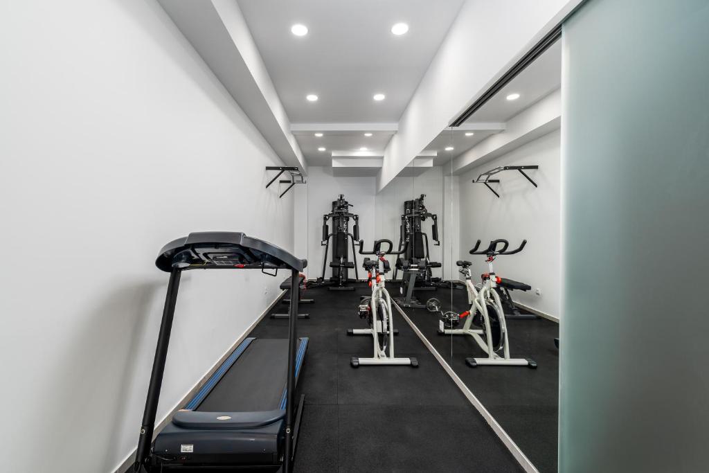 Fitness centrum a/nebo fitness zařízení v ubytování Luxurious Villa ADA; hot tub, sauna, gym, pool