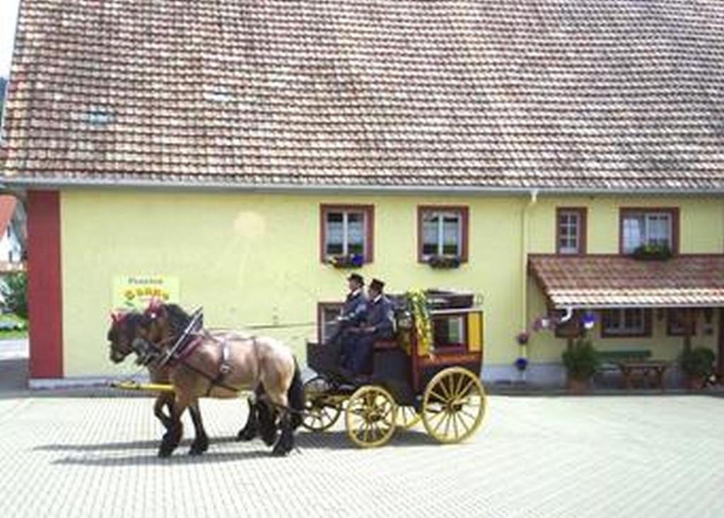 deux personnes voyageant en calèche tirée par des chevaux dans l'établissement Pension Sonne, à Rickenbach