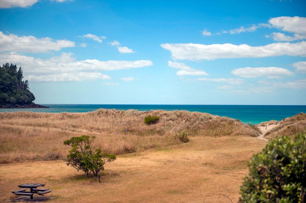 A beach at or near the holiday home