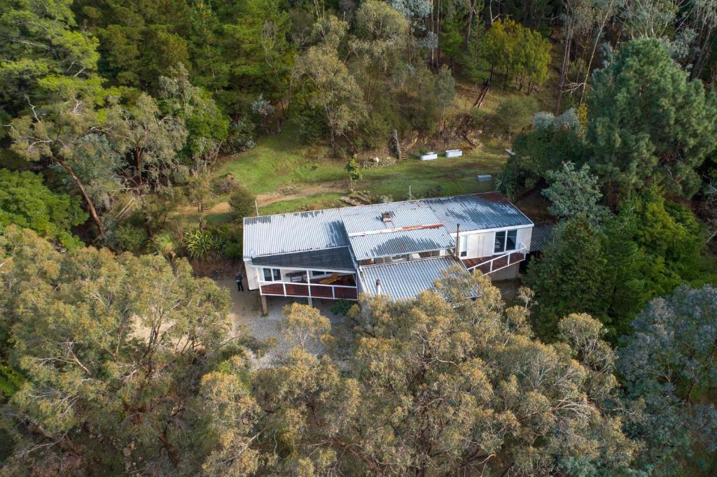 The Tree House, Eildon (updated prices 2024)