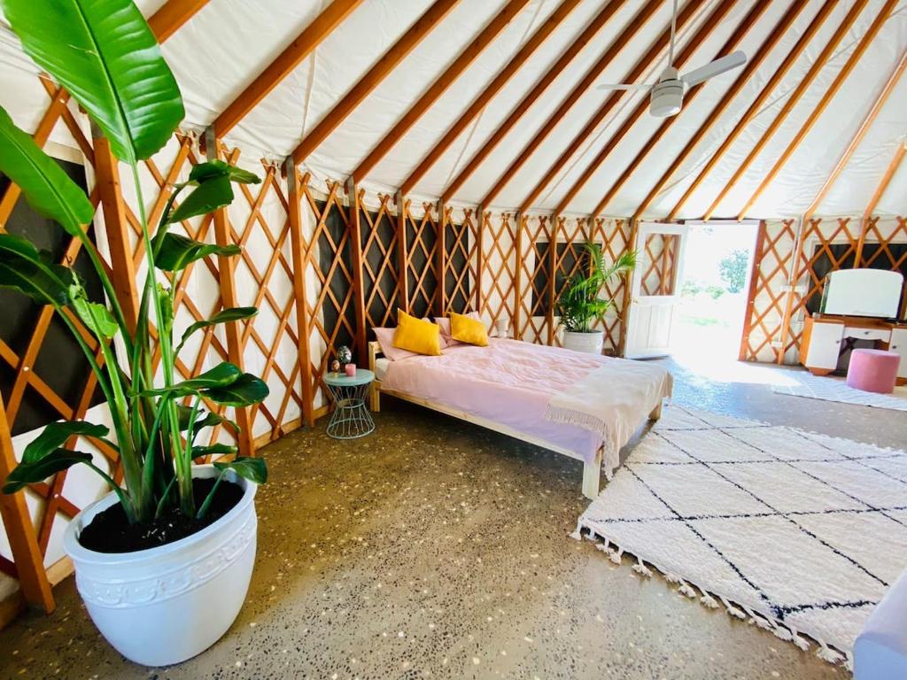 a room with a bed in a tent at Byron Bay Hinterland Eco-Retreat Ivory Yurt in Eureka