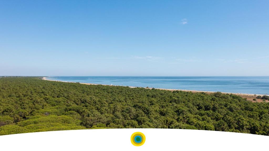 una vista aérea de la playa y del océano en Sole Family Camping Village, en Marina Romea