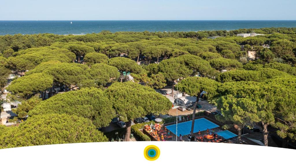 an aerial view of a resort with a pool and trees at Rivaverde Family Camping Village in Marina di Ravenna
