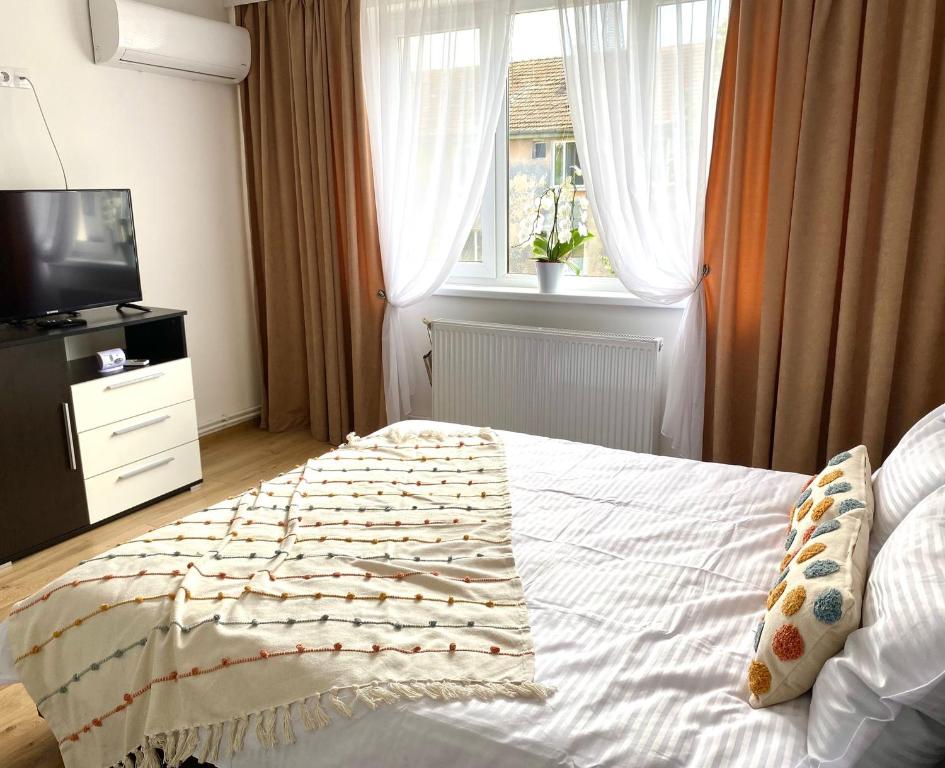a bedroom with a bed and a television and a window at Central Crib in Hunedoara