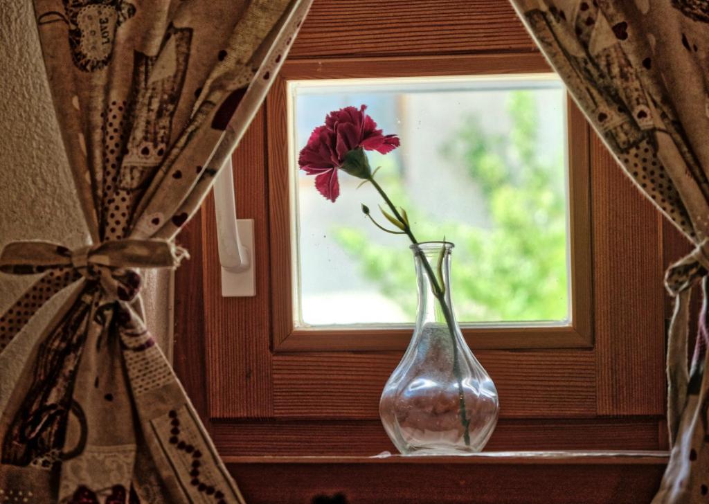 Fotografie z fotogalerie ubytování Jacobs Resort House Planica v destinaci Kranjska Gora