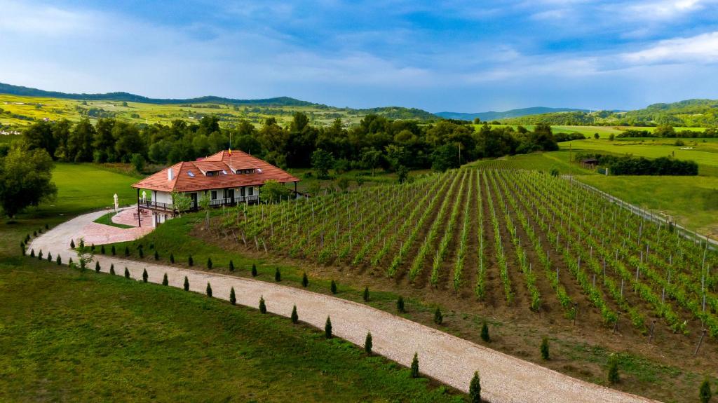 - une vue aérienne sur un vignoble avec une maison et une route dans l'établissement Pensiunea Sonnenhof, à Sighişoara