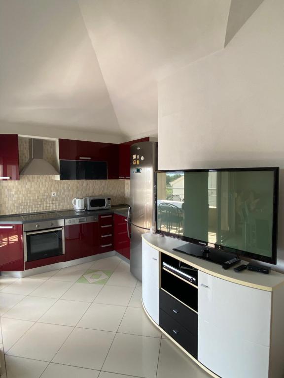 Kuchyň nebo kuchyňský kout v ubytování Apartments Kristina