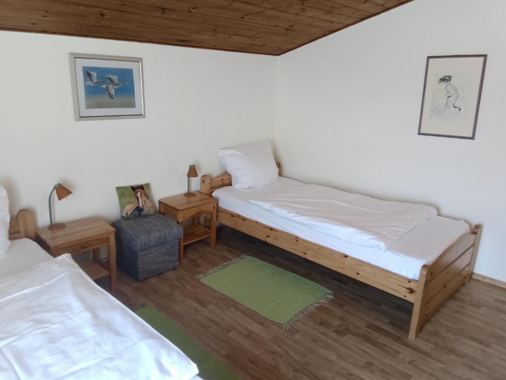 a room with two beds and two night stands at Hof Kranichweide, Ferienwohnung "Skinfaxi" in Saal