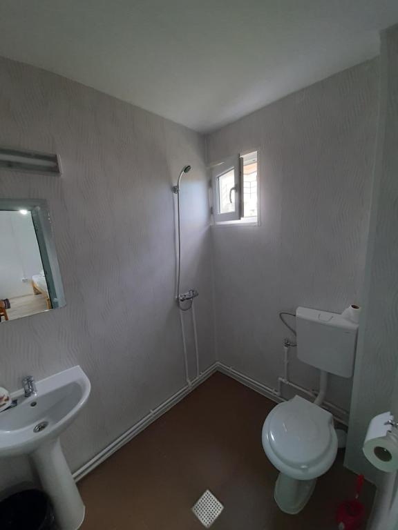 a bathroom with a toilet and a sink and a shower at Casa Bekirebeki in Vama Veche