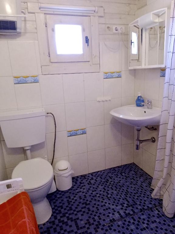 Koupelna v ubytování Hof Kranichweide, Holzblockhaus