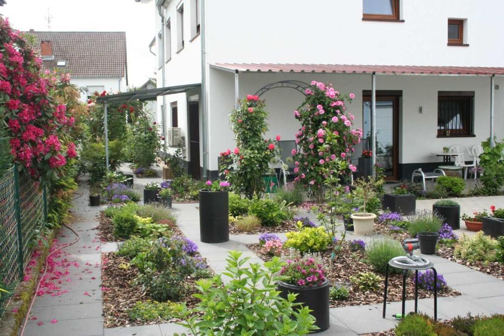 Zahrada ubytování Villa Peony