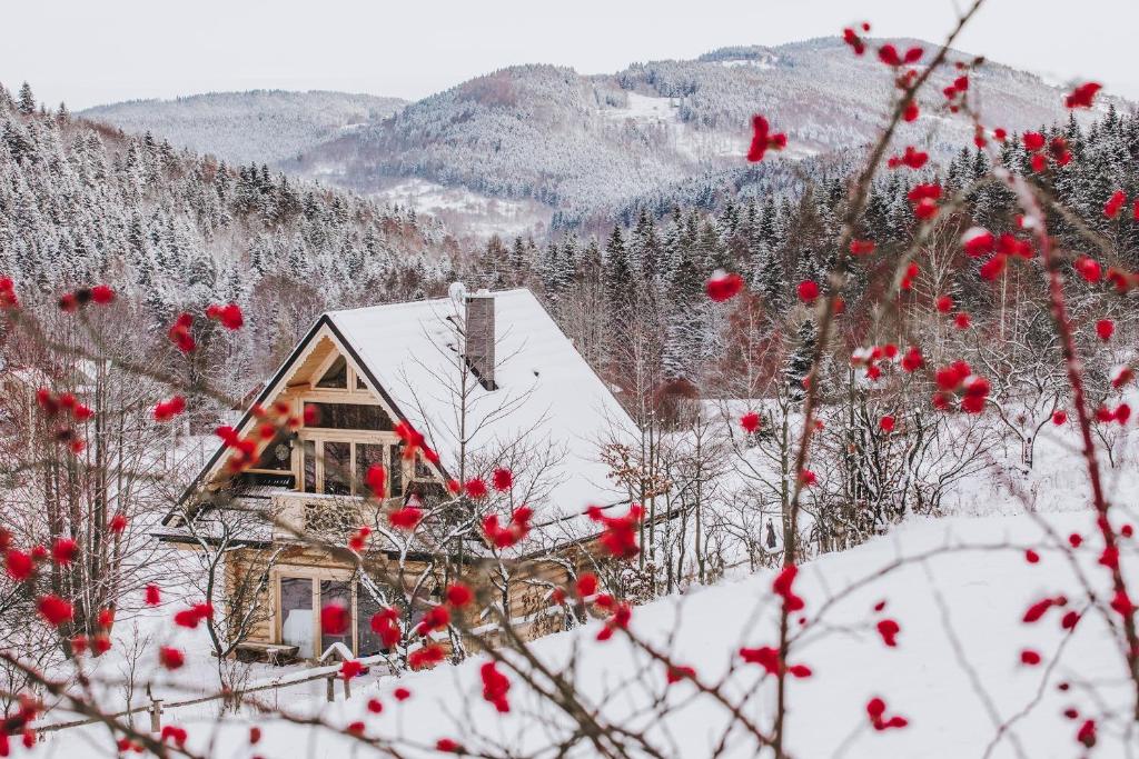 ein Haus im Schnee mit roten Beeren davor in der Unterkunft Pyrgielówka- chata Roztoki in Stryszawa