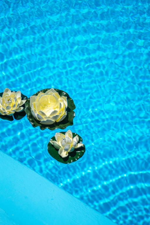 Bazén v ubytování RODI BLUE apartments nebo v jeho okolí