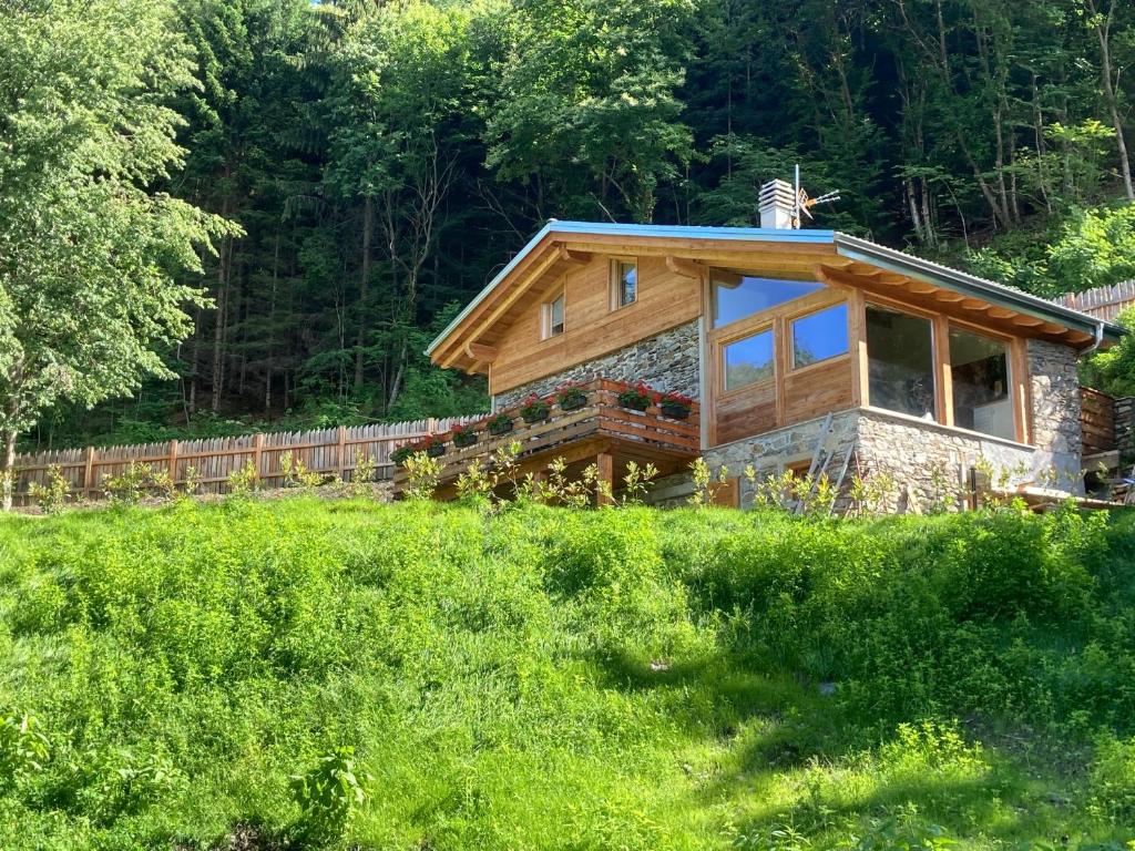 une maison en rondins sur une colline avec un champ vert dans l'établissement Cozy Nature House, à Colico