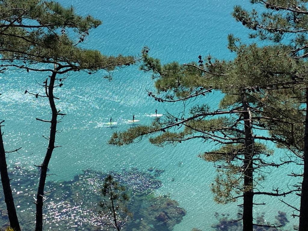 a view of a beach with boats in the water at Gite de la Baie - Morgat in Crozon