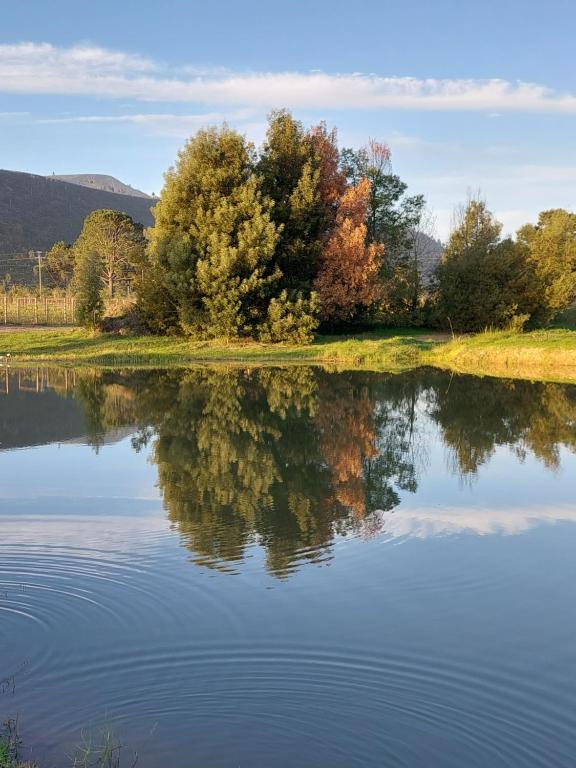 a reflection of trees in the water at 20 Good Summers Farm Stay in The Crags