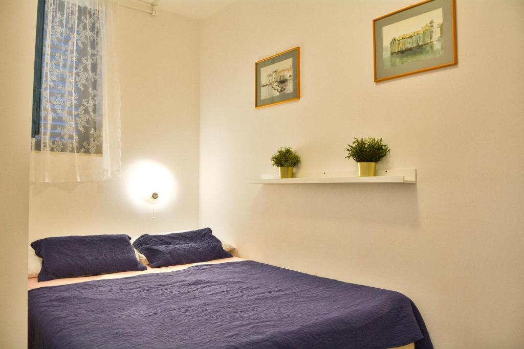 a bedroom with a bed with blue sheets and two plants at Apartments Miki in Donja Klada