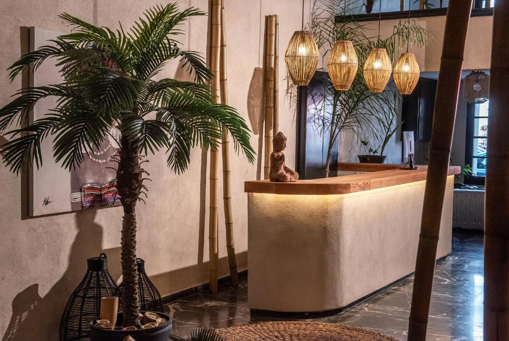 Indigo Inn Casa Adults Only - 10