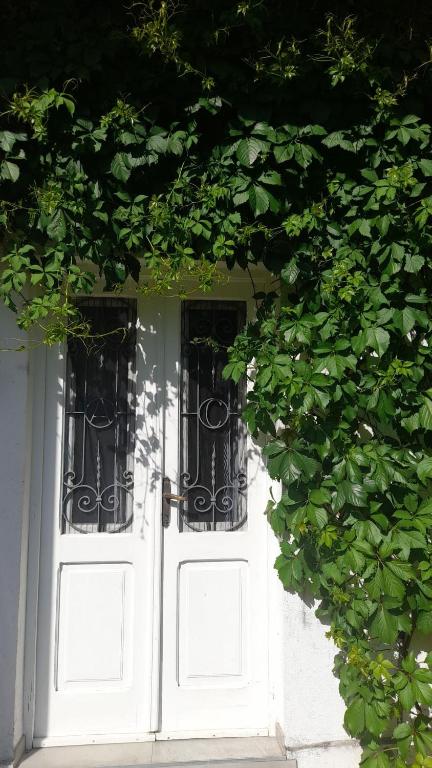 Fotografia z galérie ubytovania Apartman Marcela v destinácii Zadar