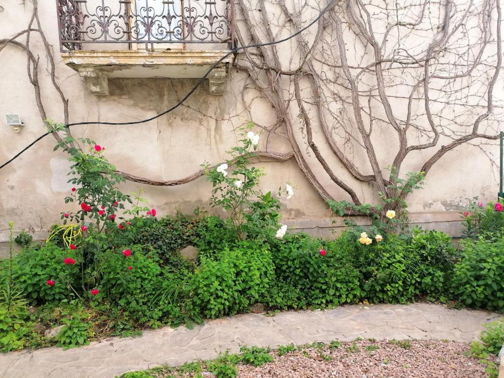 Vonkajšia záhrada v ubytovaní Studio charmant à Néris-les-Bains - 25 m² avec terrasse