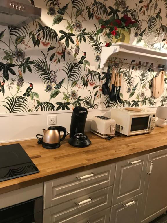 a kitchen counter with a microwave and a toaster oven at La Chapelle Saint-Nicolas in Cassel