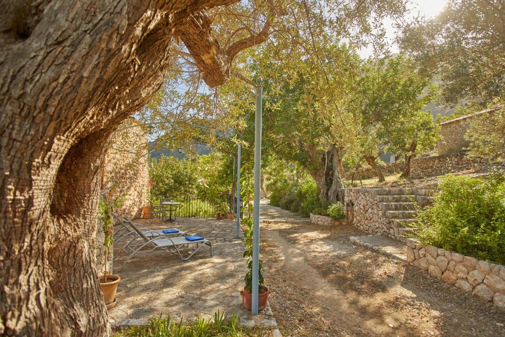 Agroturismo Alquería Blanca - Junior Suite