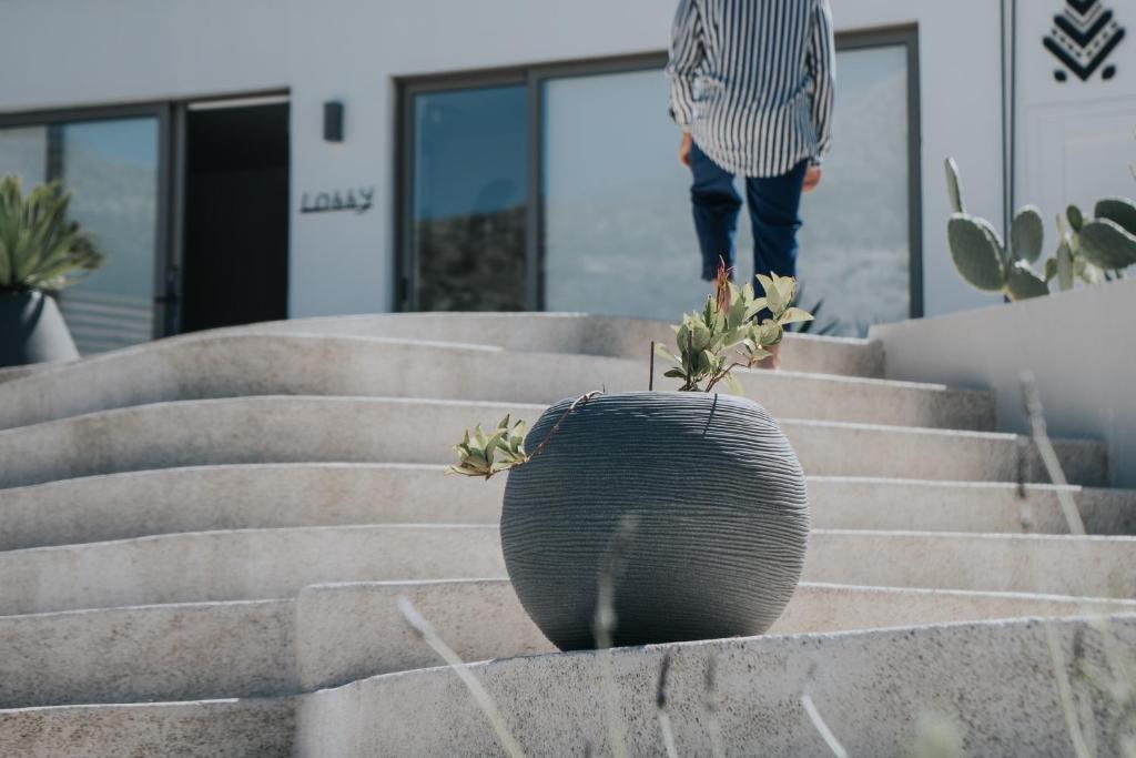 Fotografie z fotogalerie ubytování Pignolia Suites - Adults Only v destinaci Ierápetra