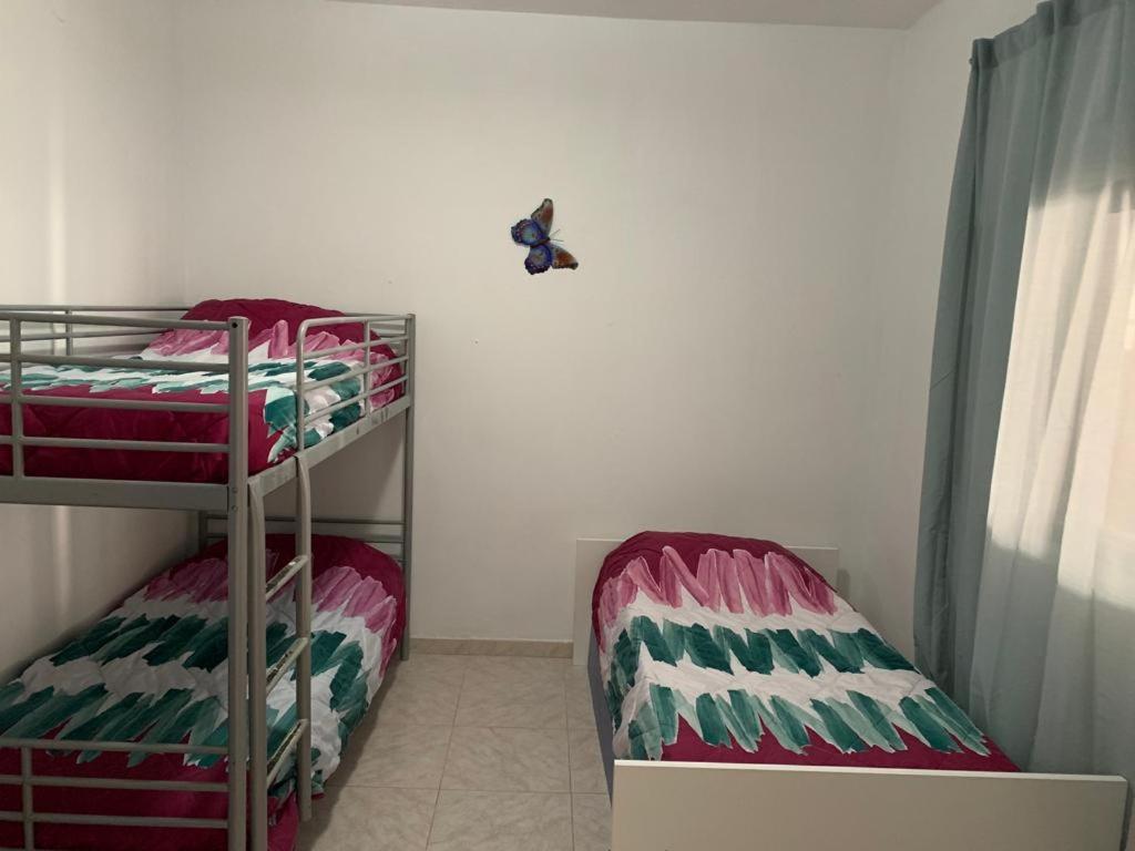 Katil dua tingkat atau katil-katil dua tingkat dalam bilik di TRES habitaciones privadas 4huéspedes 4huéspedes 2huéspedes piso a compartir