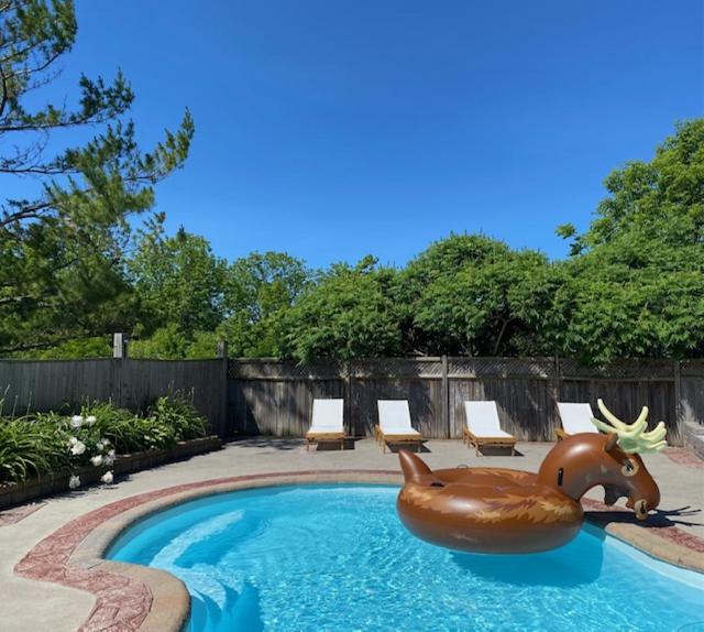 uma piscina com um grande animal insuflável num quintal em Marina and Main em Wellington