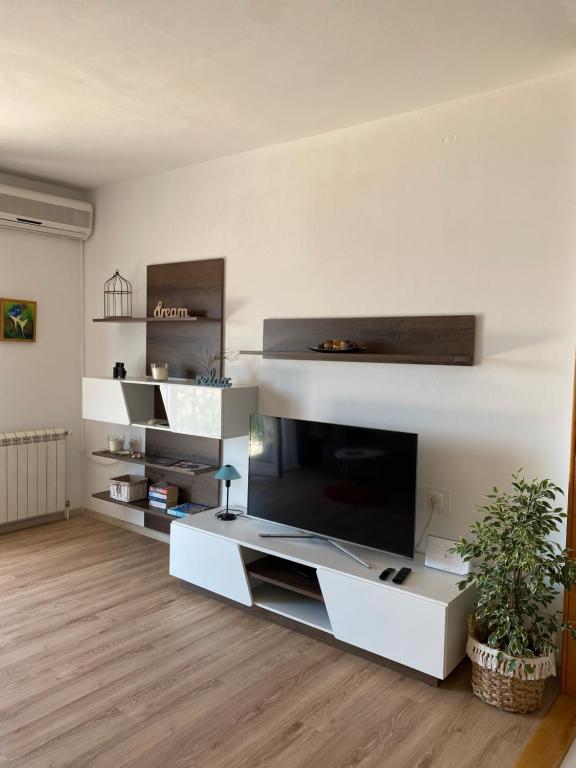 TV a/nebo společenská místnost v ubytování Apartman Betty